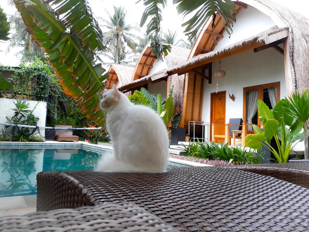 Teras Lombok Bungalow Сенгиги Екстериор снимка